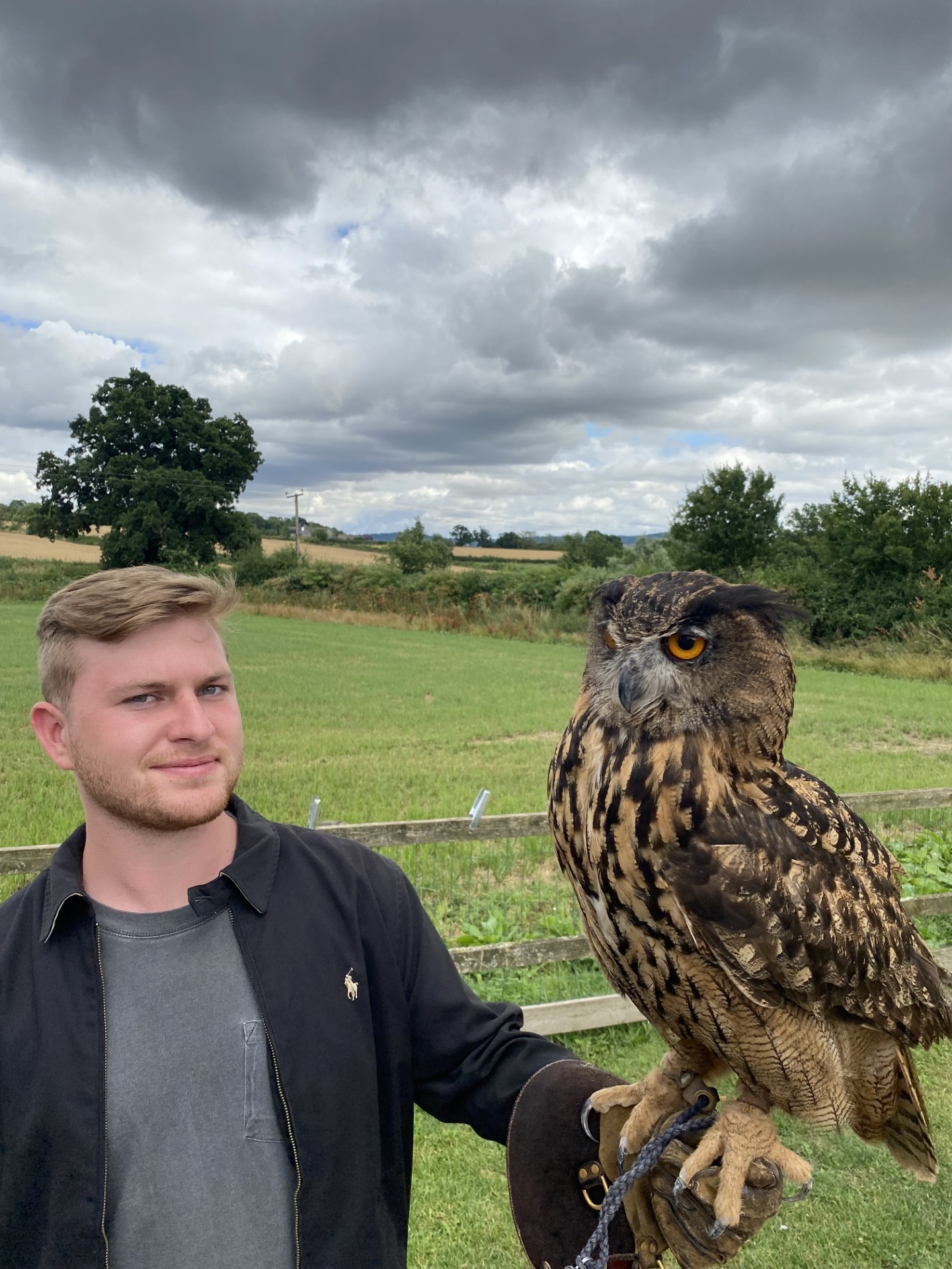 holding owl